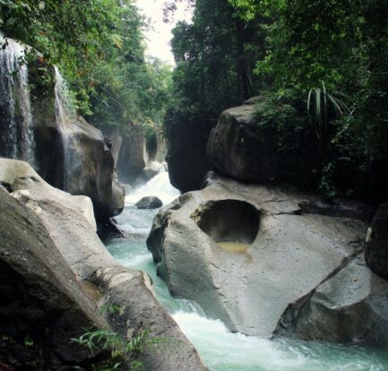 7 Tempat Wisata Hutan Liar di Sulawesi