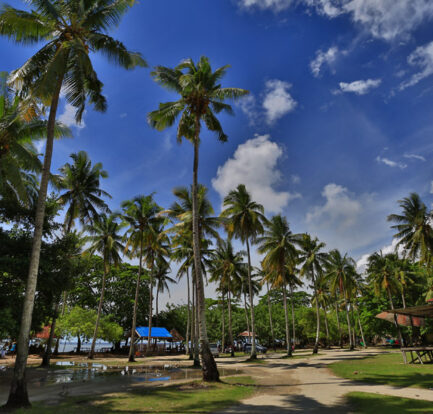 Pantai Tanjung Kasuari